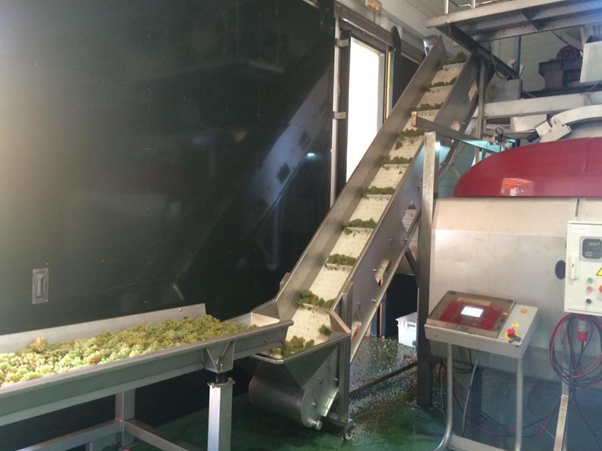 fabricacion de cintas transportadoras de uvas